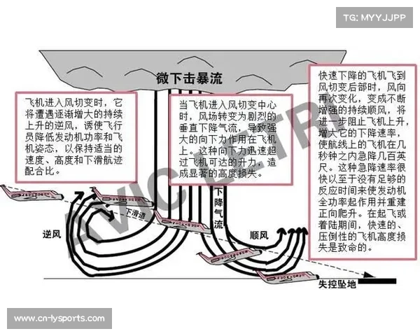 中国信鸽借助气象导航技术利用气流预测飞行最佳路线探索新领域 中国信鸽借助气象导航技术利用气流预测飞行最佳路线探索新领域
