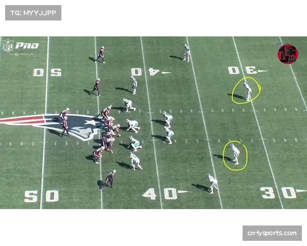 爱国者42-13大胜黑豹 防守组多次制造球权转换